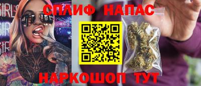 гашик Будённовск