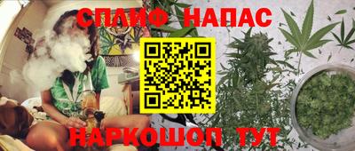 гашик Будённовск