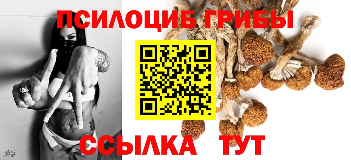 Глазов  Галлюциногенные грибы мицелий  Вход с VPN 